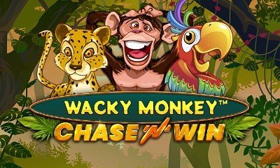 Wacky Monkey Chase N Win