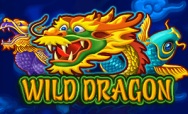 Wild Dragon