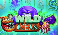 Wild Ocean